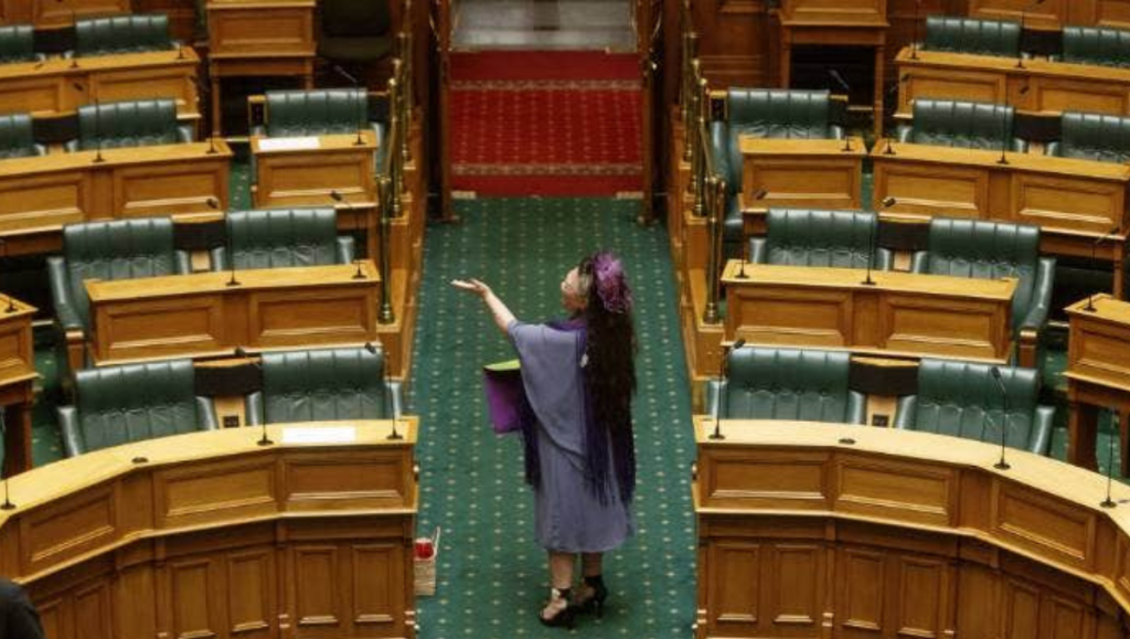 Elizabeth stands alone on the house floor, waving to the gallery after her valedictory speech. Credit: ROBERT KITCHIN/STUFF